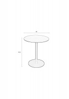 Tafel Snow Brushed side table Zuiver